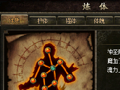 体质